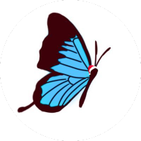 空色たいやき (@taiyaki_71) 's Twitter Profile Photo