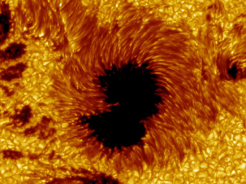 SunSpotAlert's profile picture. Astronomy | Sun spots | Zonnevlekken | Manchas Solares