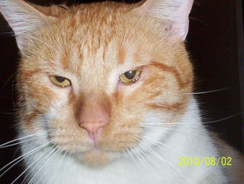 ggarciaq's profile picture. 