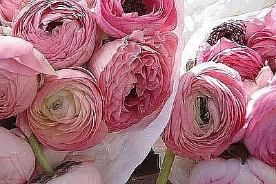 knewb4's profile picture. 