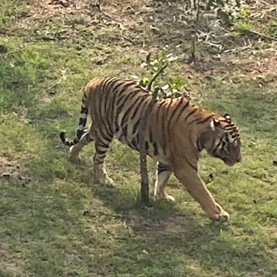 Arvind92804904's profile picture. 