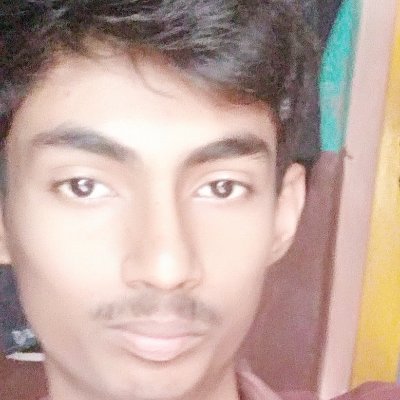 SkFaizRahaman's profile picture. Indie Game developer