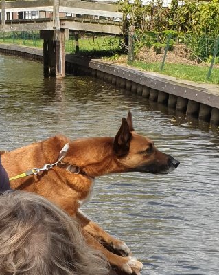 ToeringR's profile picture. vrij en onafhankelijk; back to basic if you don't trust the future