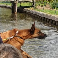 R.Toering (@toeringr) 's Twitter Profile