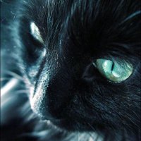 ぺっく (@peccul) 's Twitter Profile Photo ぺっく (@peccul) 's Twitter Profile Photo