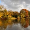 Jed - @JedGreen11 - Twitter