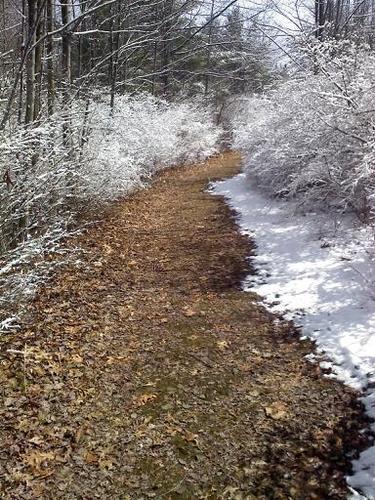 zekeone1's profile picture. Two years ago decided to leave a comfortable house and wander into the woods.  I'm sorta lost but having fun living with the animals.