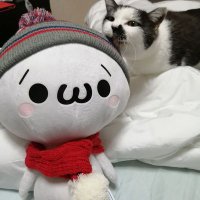 ISAmu.🐈【ISAmu.のお部屋】 (@isamu_88) 's Twitter Profile Photo ISAmu.🐈【ISAmu.のお部屋】 (@isamu_88) 's Twitter Profile Photo