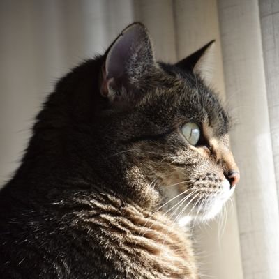 rick_zah's profile picture. 