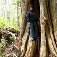 Laurie VandeSchoot (@lvs11) 's Twitter Profile