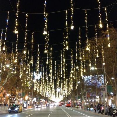 LluisAlarcon's profile picture. 