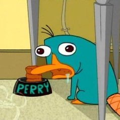 ペリーどこだ Whereisperrrrry Twitter ペリーどこだ Whereisperrrrry Twitter
