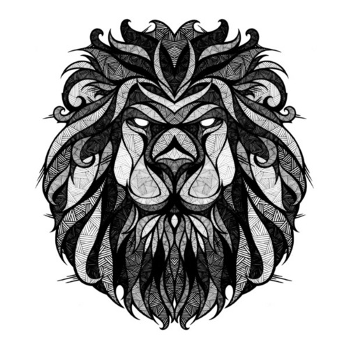 risinlion's profile picture. 