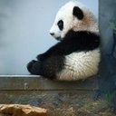 Amanda Kimball - @beamsomoonlight - Twitter