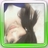 tn_teenagedream's profile image