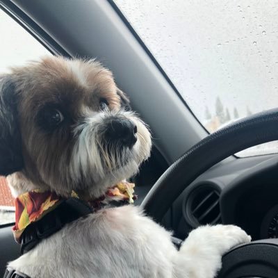 KrahnRoland's profile picture. Disney/Metallica Superfan