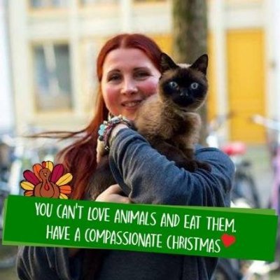 Founder @MussenToevlucht #VEGAN/AnimalActivist/BirdProtector/ArtistOilpaintings/NewbyWriter#memoirTWOBEONE