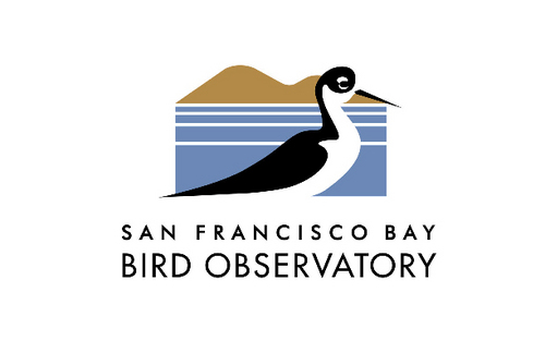 The San Francisco Bay Bird Observatory is a nonprofit conserving birds through avian science, habitat conservation, and education.