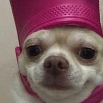 iZytroMC's profile picture. 💯