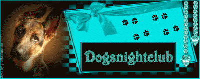 Dogsnightclub's profile picture. Das coole Hundeforum für ausgeschlafene Hunde