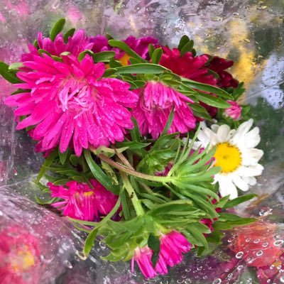 evrenozkan's profile picture. 