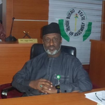 Member Borno state House of Assembly Representing Jere, State Constituency