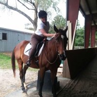 Helping Horses (@helpinghorses3) 's Twitter Profile
