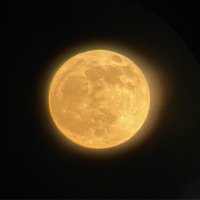 まあ (@rmasamiman) 's Twitter Profile