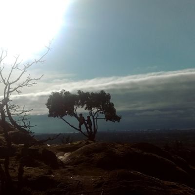 RuthW91321860's profile picture. 