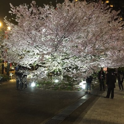 Jubilee_Head's profile picture. マラソン参加と一口馬主で愛馬の応援を日々楽しんでいます。