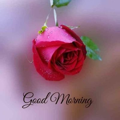 bee288fa9f044f2's profile picture. 