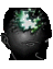 cienciacog's profile image