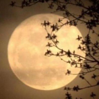 ideeeeas's profile picture. 