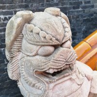 Dan (@dche423) 's Twitter Profile