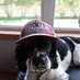Seth Dorner (@seth94081834) Twitter profile photo Seth Dorner (@seth94081834) Twitter profile photo