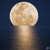 خالد beautylover77 (@khalid64363325) Twitter profile photo