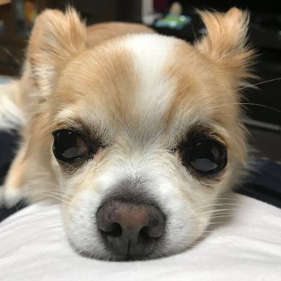 846___yashiro's profile picture. 民間の教育系会社勤務。セカンドキャリアとして教師になることを検討中！