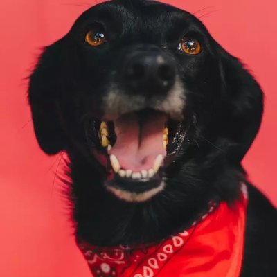 01Zozitunzi's profile picture. Fun and happy