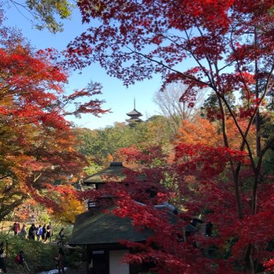 還暦過ぎ読響はじめクラッシック音楽祭鑑賞に熱中