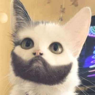 TriggliPuff's profile picture. Third world born, low income raised