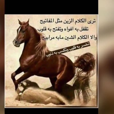 anaad_al's profile picture. 