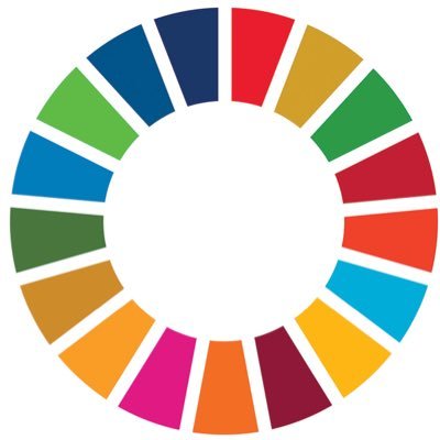 Serving our communities to protect the most disadvantaged and vulnerable populations and bring sustainable peace @UNVolunteers