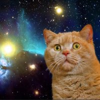 tetu (@nekoteturl) Twitter profile photo