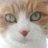 ⚡🐾kazu🐾なぁ組🐾⚡のアイコン
