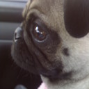 Mirna  Carrillo - @mirna_carrillo - Twitter