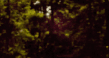 Mentira_Verdade's profile picture. 