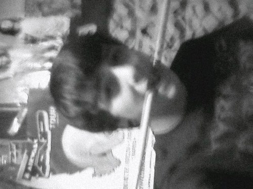 Ray201096's profile picture. 