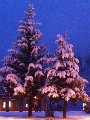 tweeb70's profile picture. Lonliest star from the SON