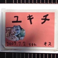 ゆきち(ง ˙ω˙)ว17番🥚🐸 (@_yukicheeeese_) 's Twitter Profile Photo ゆきち(ง ˙ω˙)ว17番🥚🐸 (@_yukicheeeese_) 's Twitter Profile Photo