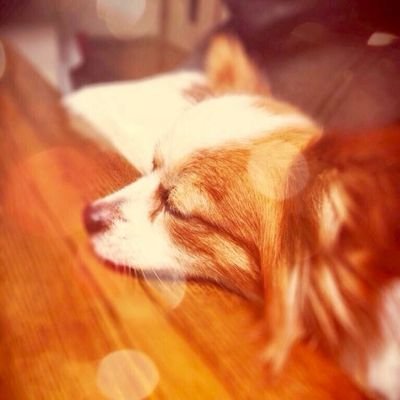※ふろです NGM Gt.→OUMC dolaOB
マンドリン演奏会まとめサイト︎ :
https://t.co/eRlYvjnnTJ
アカウント:@dolicon_gm